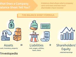 Illustration (abbreviated) of a program officer data sheet. Balance Sheet Definition