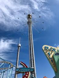 Image result for Grona