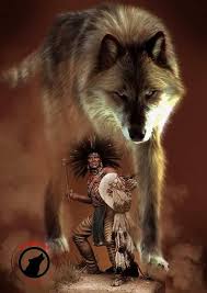 pin by wolfi friends on american indians native american wolf native american pictures native american drawing