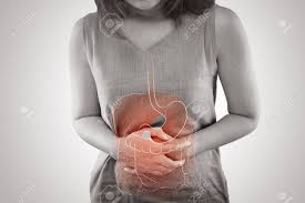 Image from human anatomy atlas. The Photo Of Internal Organs Is On The Women S Body Against Gray Stock Photo Picture And Royalty Free Image Image 104730399
