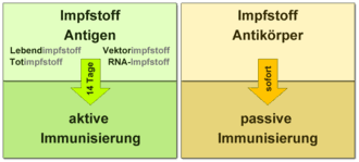 Der kandidat von novavax ist ein proteinbasierter impfstoff, der zweimal gespritzt werden muss. Impfstoff Wikipedia