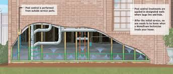 Hometeam pest defense is a relative newcomer to the pest control industry, founded in the 1990s. Home Team Pest Defense Riverside California Proview