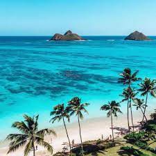 Maui paradise tours and transportation offers a wide range of personalized maui tours, transportation services and adventures. Hawaii Maui Paradise Posts Facebook