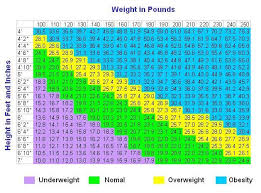 Bmi Calculator