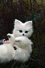 Arctic Fox Whimsical Animals Fantasy Creatures From Faux Fur And Polymer Clay Mystical Posable Animals Toys For Collectibles And Decor In 2021 Cute Fantasy Creatures Cute Baby Animals Animals