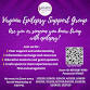Virginia Epilepsy Support Group — THE EPILEPSY event image