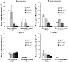 Strength is een skill die te beoefenen is in het online spel runescape. Life History Influences The Vulnerability Of New Zealand Galaxiids To Invasive Salmonids Jones 2015 Freshwater Biology Wiley Online Library
