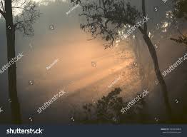 Morning Light Sunrise And Fog In Nature Sun Light Ad Aff Sunrise Light Morning Sun Morning Light Sunrise Fog