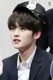 Pin By Rainn On Minho Lee Know Stray Kids Stray Kids Minho Lee Know