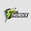 Getting a logo and kit. 1