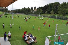 Find the best home services on yelp: 10 500 M2 Sportrasen Fur Hausen Am Albis Sportrasenforum