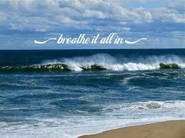 Pin By Eliane Carneiro On Beach Life Beautiful Beaches Beach Beach Life