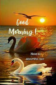 Pin By Paula Afonso On Good Morning Cute Good Morning Images Good Morning Beautiful Quotes Good Morning Cards