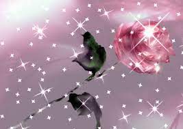 Descargar Fondo De Pantalla Para Celular Con Movimiento Descargar Fondo De Pantalla Mariposas Fondos De Pantalla Rosas Animadas