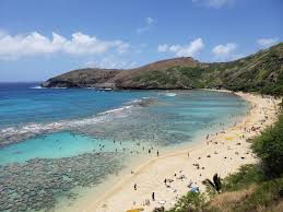 Hanauma bay is the most popular area for snorkeling on the island of oahu. Hanauma Bay Oahu Hawaii Pics
