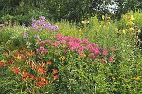 Staudengarten Gross Potrems Gartenrundgang Im Juli Staudengarten Garten Garten Und Outdoor