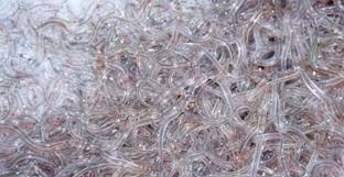 Information and translations of civelle in the most comprehensive dictionary definitions resource on the web. Aeroport De Casablanca Un Trafic De 60 Kg De Civelle Intercepte H24info