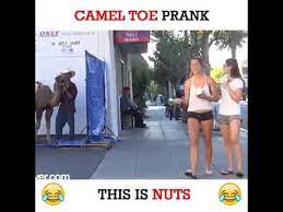 Aw that's a camel toe prank. Camel Toe Prank Youtube