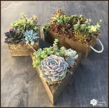 The sunken sofa is rimmed with soft pink flower boxes that provide class and a light fragrance to. Order Succulent Gifts The Succulent Eclectic