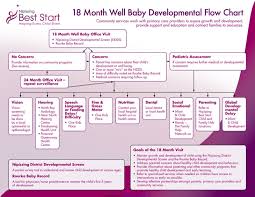 Download 18 Month Well Baby Developmental Flow Chart For
