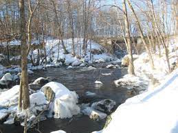 We did not find results for: Effort To Preserve Important Moultonborough Wildlife Habitat Nears Success Local News Laconiadailysun Com