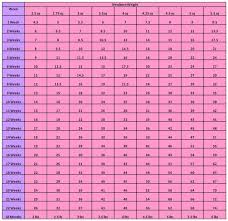 41 Unique Shih Tzu Weight Growth Chart