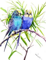 Budgies Parakeets Bird Painting Bird Art Watercolor Birds Blue Green Pets Birds Love Wall Art Two Birds Budgie Budgies Painting Watercolor Bird Birds Painting Watercolor Parakeet