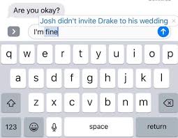 Pin By Julia On Miem Drake And Josh Wedding Funny Memes