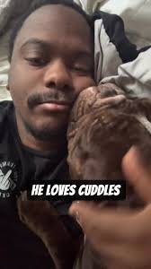 The Misunderstood Breed of Bullies as Pets