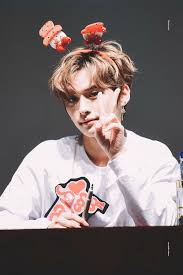  Pin By L Unakawa On Stray Kids Stray Kids Lee Know Stray Kids Minho Stray Kids