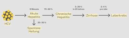 Most of our board, staff, and volunteers have had hepatitis c and have cleared it after treatment. Hepatitis Schweiz Hepatitis C