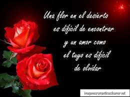 Imagenes De Rosas Rojas De Amor Imagen Romantica De Amor Versos De Amor Piropos De Amor