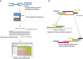 Dda, department of drug administration. Proteogenomics From Next Generation Sequencing Ngs And Mass Spectrometry Based Proteomics To Precision Medicine Sciencedirect