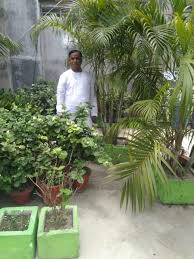 This video explores many bonsai fruit trees for beginners to explore and add there collections. Awesome Farm On Terrace Has Over 1000 Plants 40 Bonsai Trees