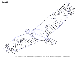 Learn How To Draw An Eagle Flying Birds Step By Step Drawing Tutorials Eagle Drawing Eagle Drawing Easy Eagle Painting
