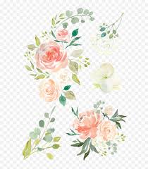 Department of agriculture pomological watercolor… free image from public domain license. Watercolor Flowers Png Transparent Collections Free Watercolor Flower Vector Garden Flowers Png Free Transparent Png Images Pngaaa Com