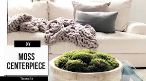 Moss furniture | premium indoor and outdoor furniture, sydney. Diy Moss Centerpiece Coffee Table Decor Youtube