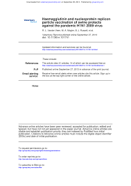 The h1n1 flu, commonly known as swine flu, is primarily caused by the h1n1 strain of the flu (influenza) virus. Pdf Haemagglutinin And Nucleoprotein Replicon Particle Vaccination Of Swine Protects Against The Pandemic H1n1 2009 Virus