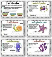 Rosmy Rivera (shyfish92)