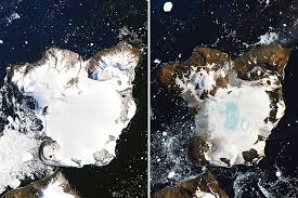 Click on the google map satellite button simply copy and paste the dynamically updated page's url to share the resulting view Antarctica Melts Under Its Hottest Days On Record