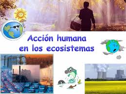 Accion humana ecosistemas_4eso | PDF