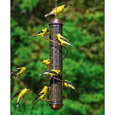 Feeder Bird Identifier By Picture Pin On Birdhouses