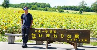 Selain bunga matahari, travel jepang juga punya taman dengan berbagai koleksi bunga, lho. 5 Wisata Bunga Terbaik Musim Panas Di Hokkaido Jepang Sakurakita Special Japan Tour Terpercaya Dengan Harga Termurah