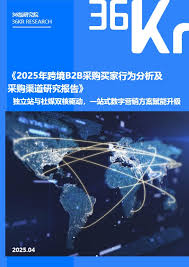2025年跨境B2B采购买家行为分析及采购渠道研究报告-DNY123跨境电商