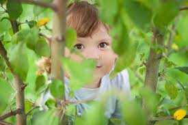 Oops you can't see this activity! Risky Play 6 Activities Kids Should Be Allowed To Do What Do You Think Opinion 30seconds Dad