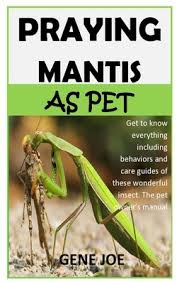 Praying mantis make beautiful and fascinating pets. Praying Mantis As Pet Get To Know Everything Including Behaviors And Care Guides Of These Wonderful Insect The Pet Owner S Manual Paperback The Book Stall