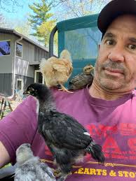 Nelly Tan MD (she/her)