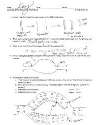 Label the diagram below with the following choices: Genetics Dna Replication Worksheet Answer Key