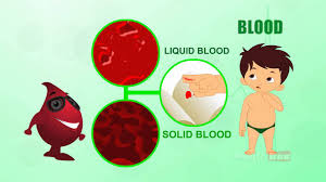 Slowly reveal each flashcard card and have your students touch their part of the body (so, when you show the head flashcard get everyone to touch their heads). Blood Human Body Parts In Tamil Animated Videos Youtube