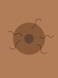 Hair around the areolae tends to be black and wiry, but it can vary from person to person. Nipple Hair May Seem Weird But It S Usually No Big Deal Self